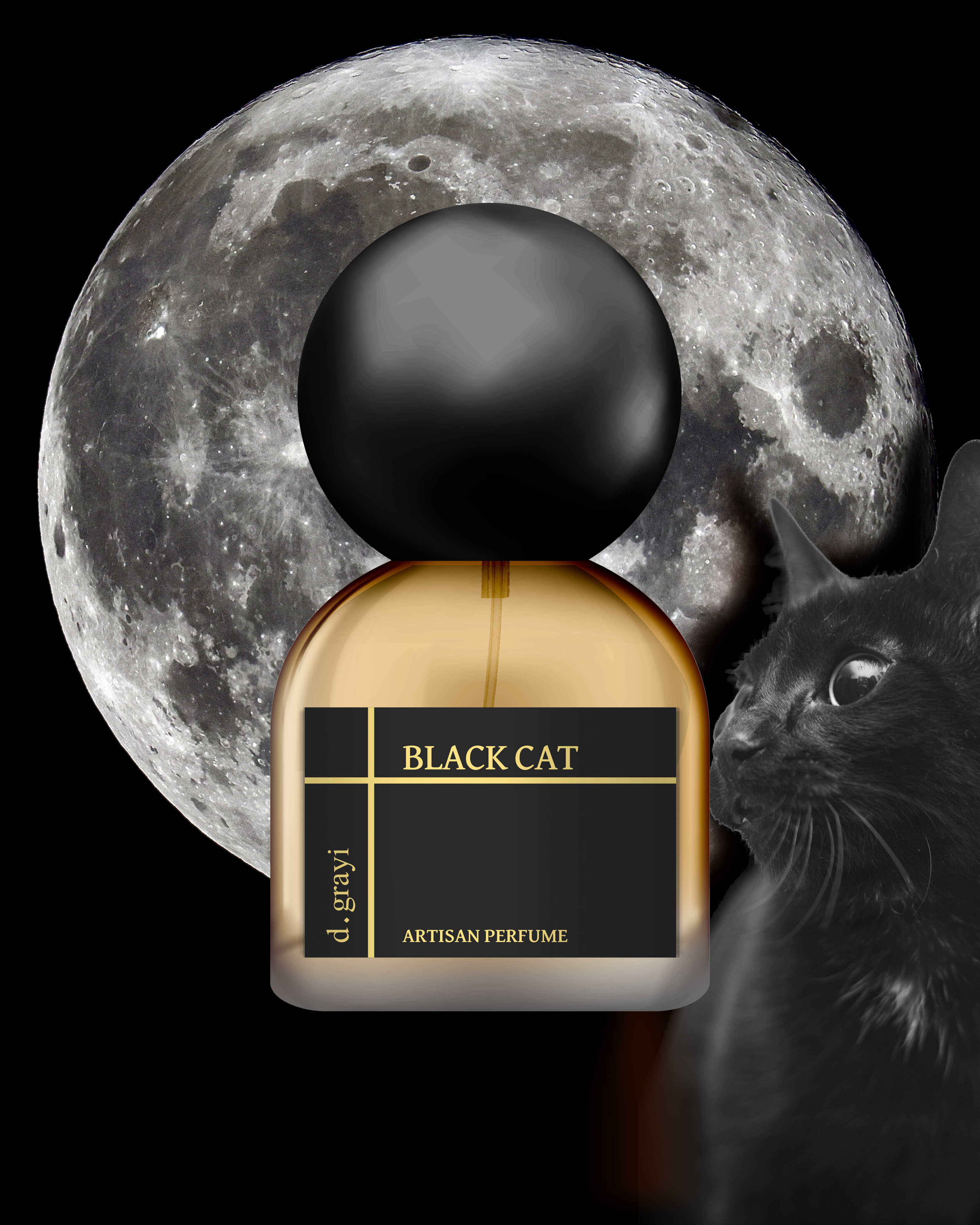 BLACK CAT [Catnip, Anise & Labdanum]
